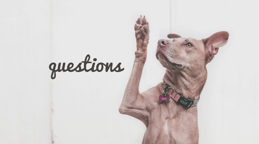 15 Questions That Will Get You More Comments on Instagram