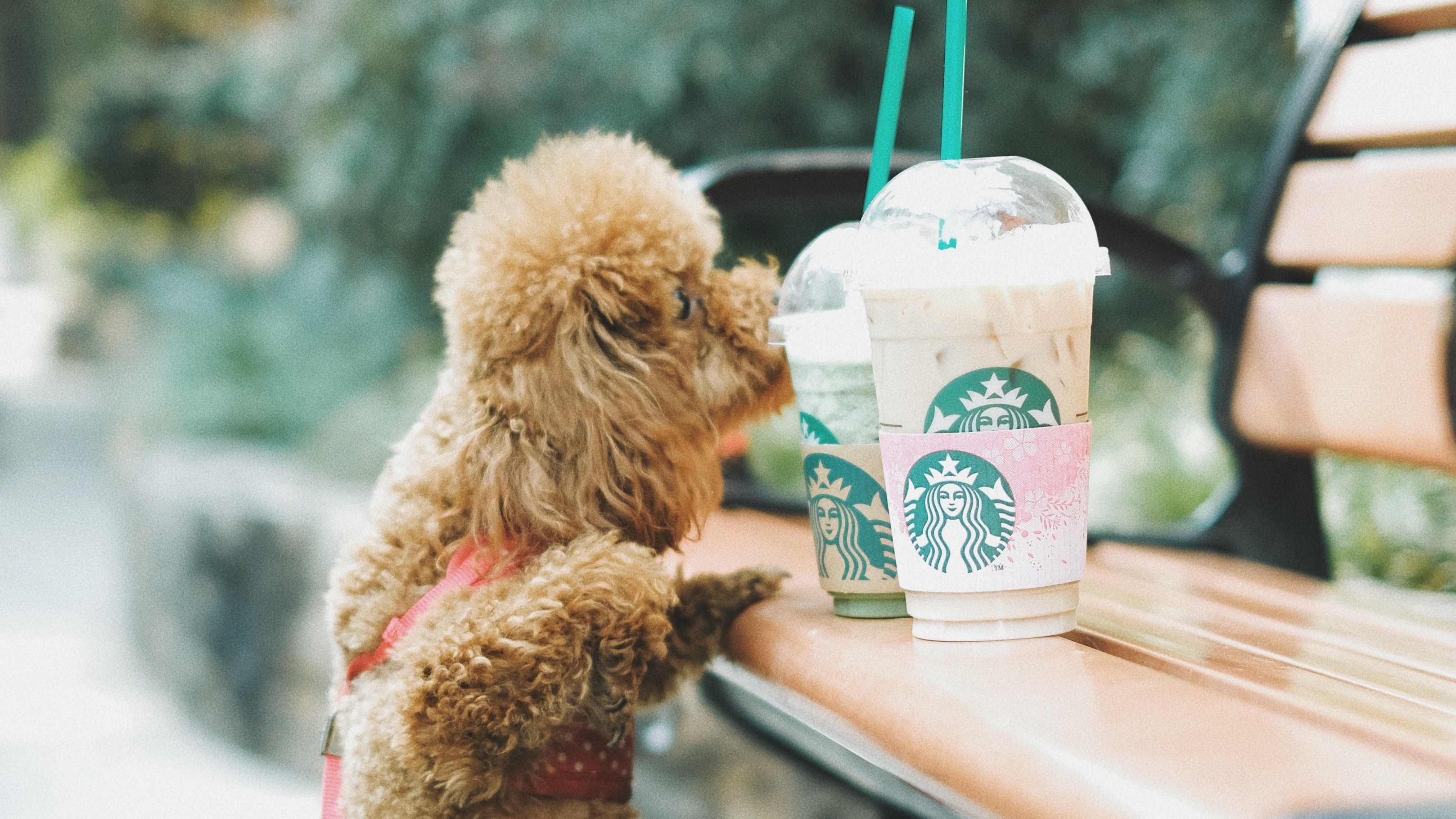 6 Brands We Love To Follow On Instagram