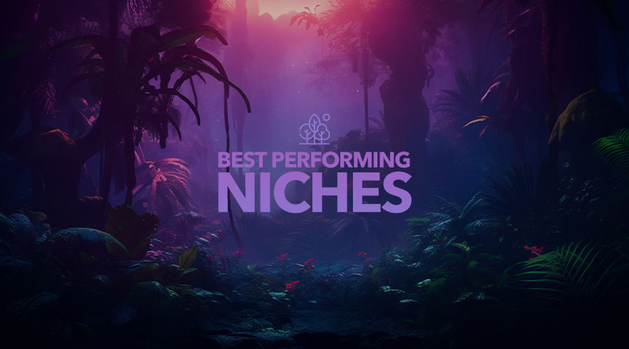 7 Best Performing Instagram Niches To Consider In 2024