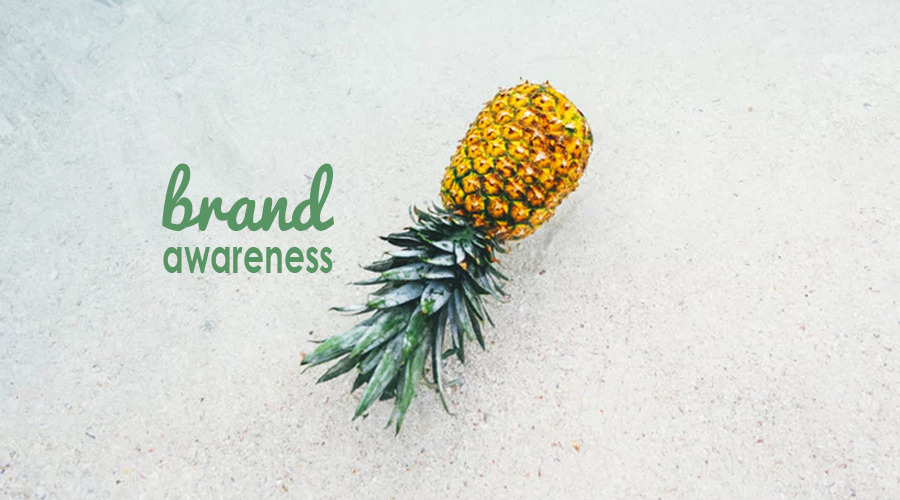 How Large Brands Upped Their Awareness Game with Instagram Stories