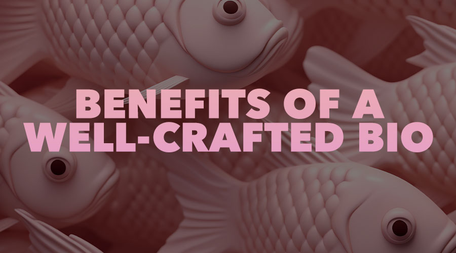 What Are the Benefits of a Well-Crafted Instagram Bio?