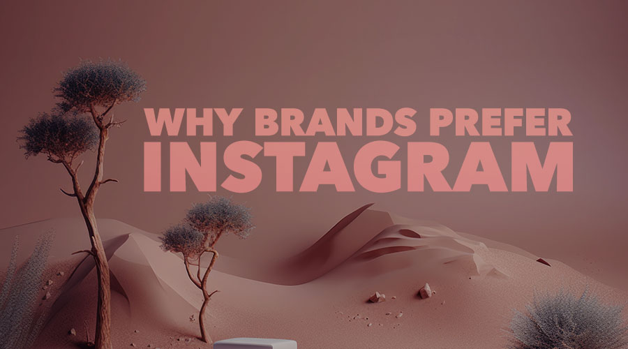 Why Do Brands Prefer Instagram to Market Their Businesses?